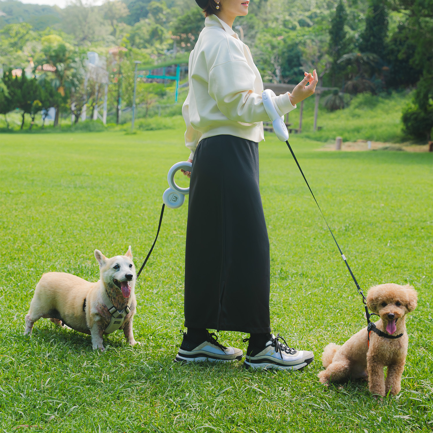 MOFMORE（モフモア）犬の散歩用ハンズフリーのオールインワンリードが超高機能！